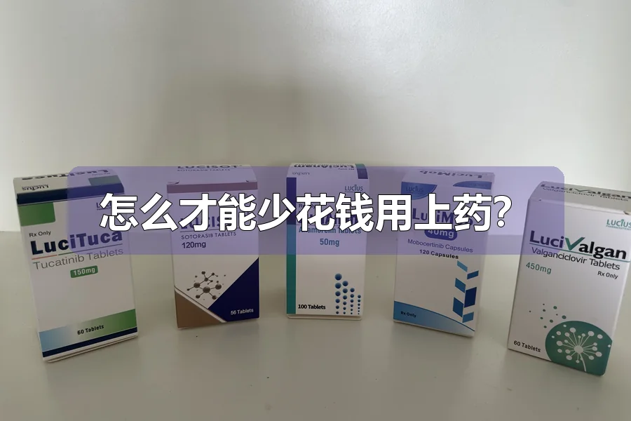 怎么才能少花钱用上药?